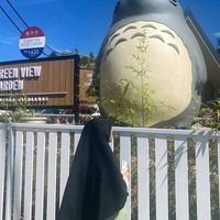 bunyi asal - jin ajak aku minang yoentan✌🌼