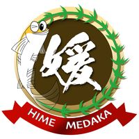 himemedaka