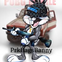 ds.bagsbanny