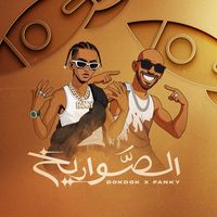 الصوت الأصلي