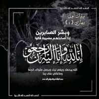 user9141637581853