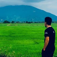 nhạc nền - Đá Nhập nên mập