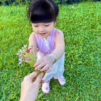 Trên Trời Cao Con Rớt Xuống Đây