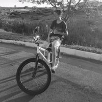 vinl.777