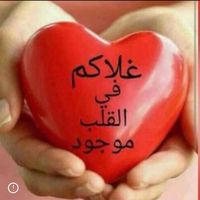 shosho12893