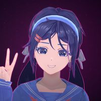 skycollieer555