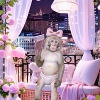 nhạc nền - Thảo Nguyên 😘