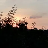 original sound - nusara_foodee