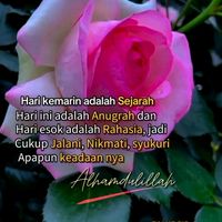 suara asli - Senja