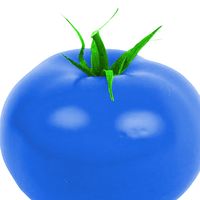 original sound - Kaiizu51