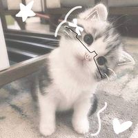 minkydd