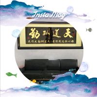 原聲 - 廖政洋