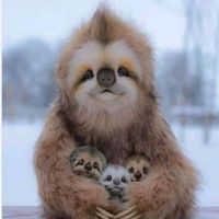 sloth_nursery