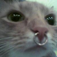 moraes.ey