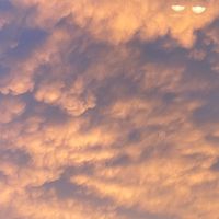 suara asli - User348910763