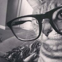 original sound - •J°