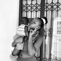 plight_bunkie