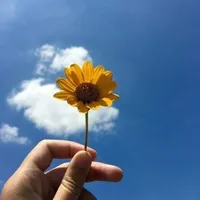 original sound - sky_story37