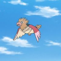 rlsparrow
