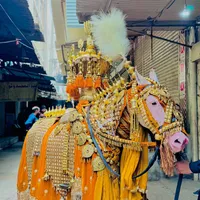 original sound - shaabi_512