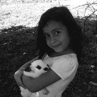 jazzy_rrd