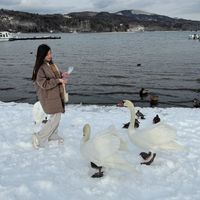 original sound - Yanna Nolido on IG ♡