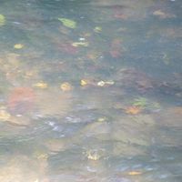 sea_1997a