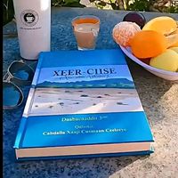 yasmineibrahim162