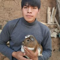 percyarango77