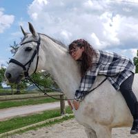 me.myself.and.horses