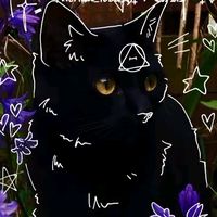 brittany.muichiro