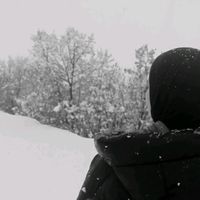 dalal._34