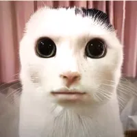 original sound - andelo2jvc