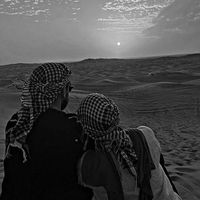 الصوت الأصلي