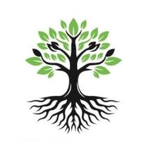 rootsschoolsystem