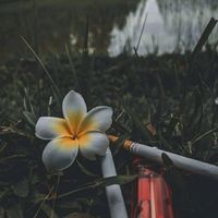 mary____7