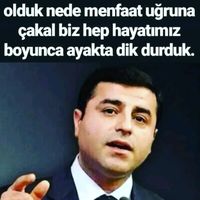 orijinal ses
