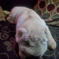 original sound - _naza_cuenta_oficial_