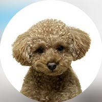 オリジナル楽曲 - R