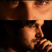 janantorres3