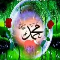 nabousarr3812