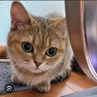 オリジナル楽曲 - ta kana