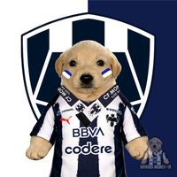 r_a_y_a_d_o_s_memes18