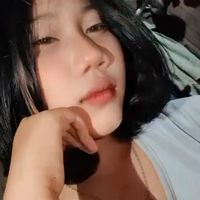 cincau956