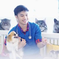 pee_veterinarian