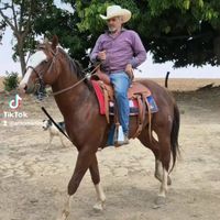 arnomartinsreidosduetos