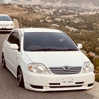 tufailhassan03