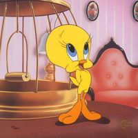 tweety___99