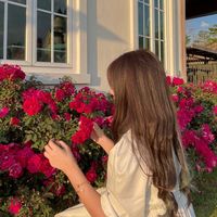 amira__a08