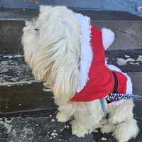 original sound - vibewithsianna473